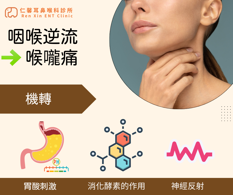 咽喉逆流造成喉嚨痛的機轉