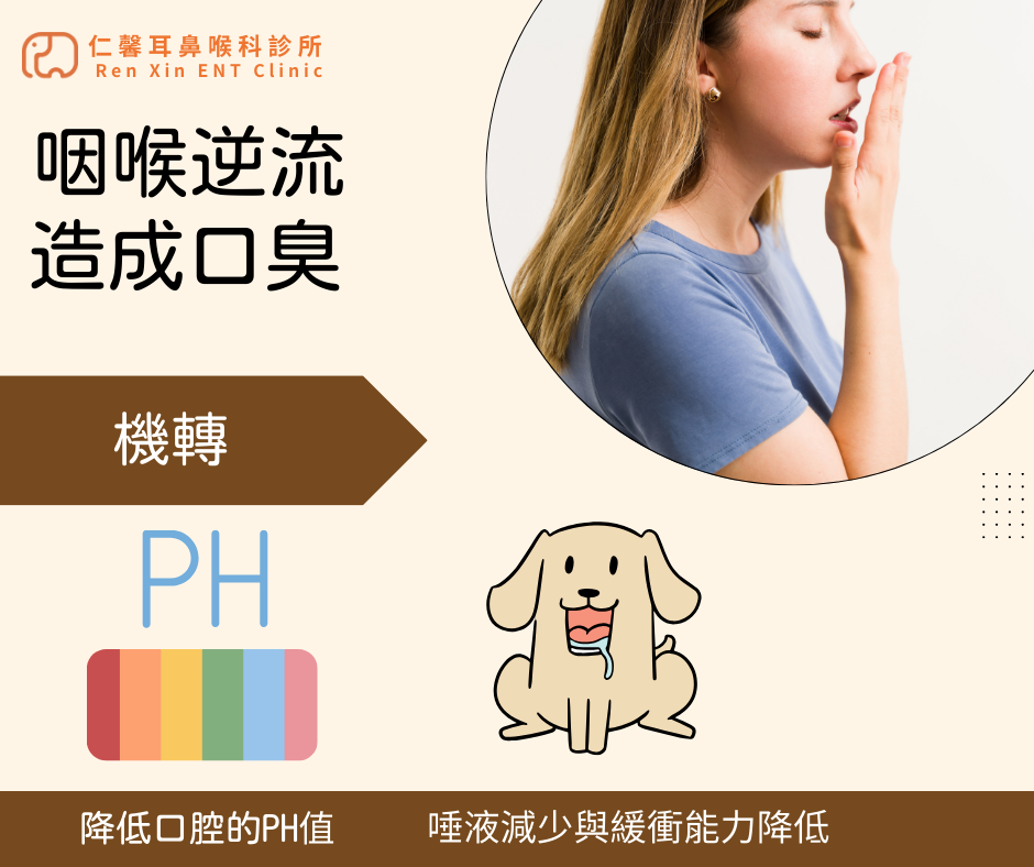 咽喉逆流造成口臭的機轉